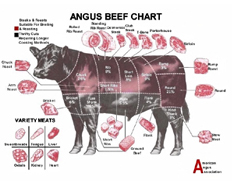 Angus Beef Chart