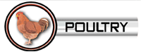 Poultry